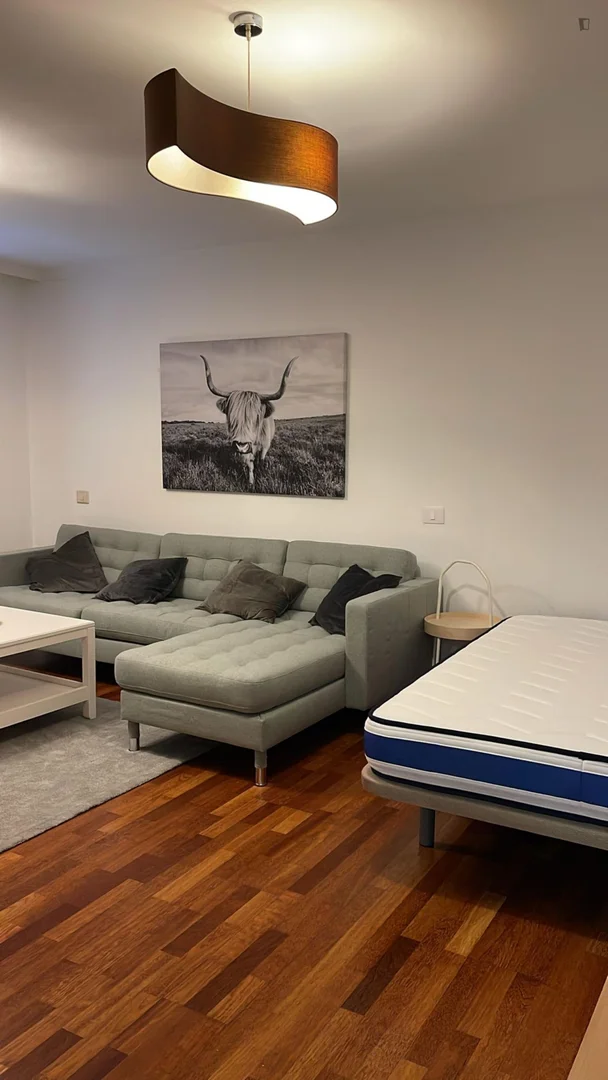 Budget-friendly student room close to campus in 