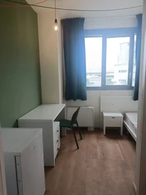 Chambre privée à Via Veglia, Mirafiori Nord, image 1 de 10