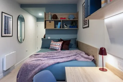 Özel oda konumu Queen Street Place Galway H91 P8P7, 3 9 görüntüsü