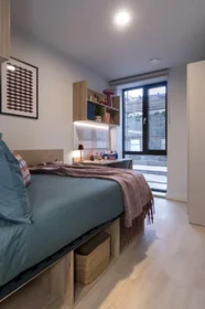 Özel oda konumu Queen Street Place Galway H91 P8P7, 4 9 görüntüsü