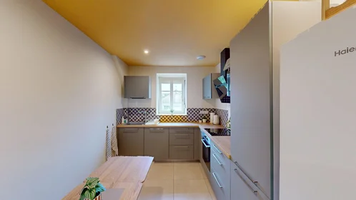 Prywatny pokój 18 Rue du Saule, obraz 12 21