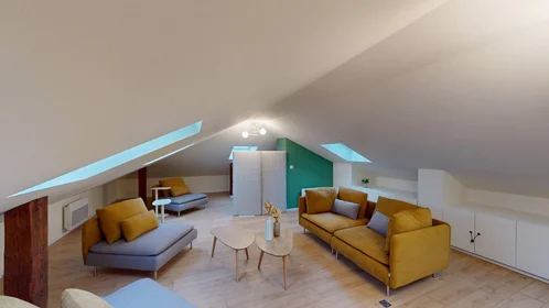 Prywatny pokój 18 Rue du Saule, obraz 8 21
