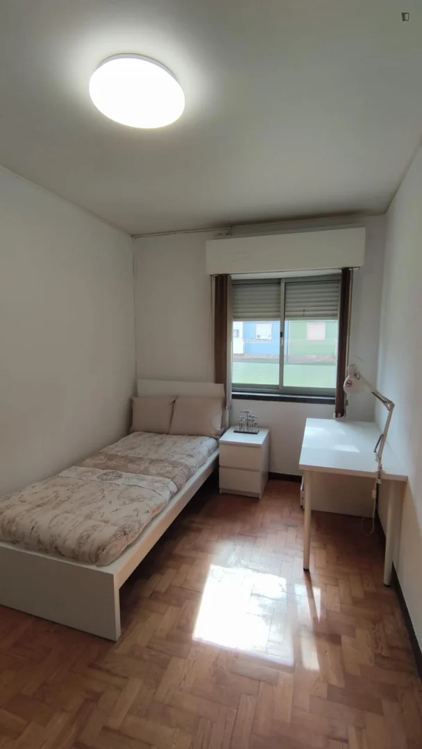 Room for rent in student apartment in , fully furnished