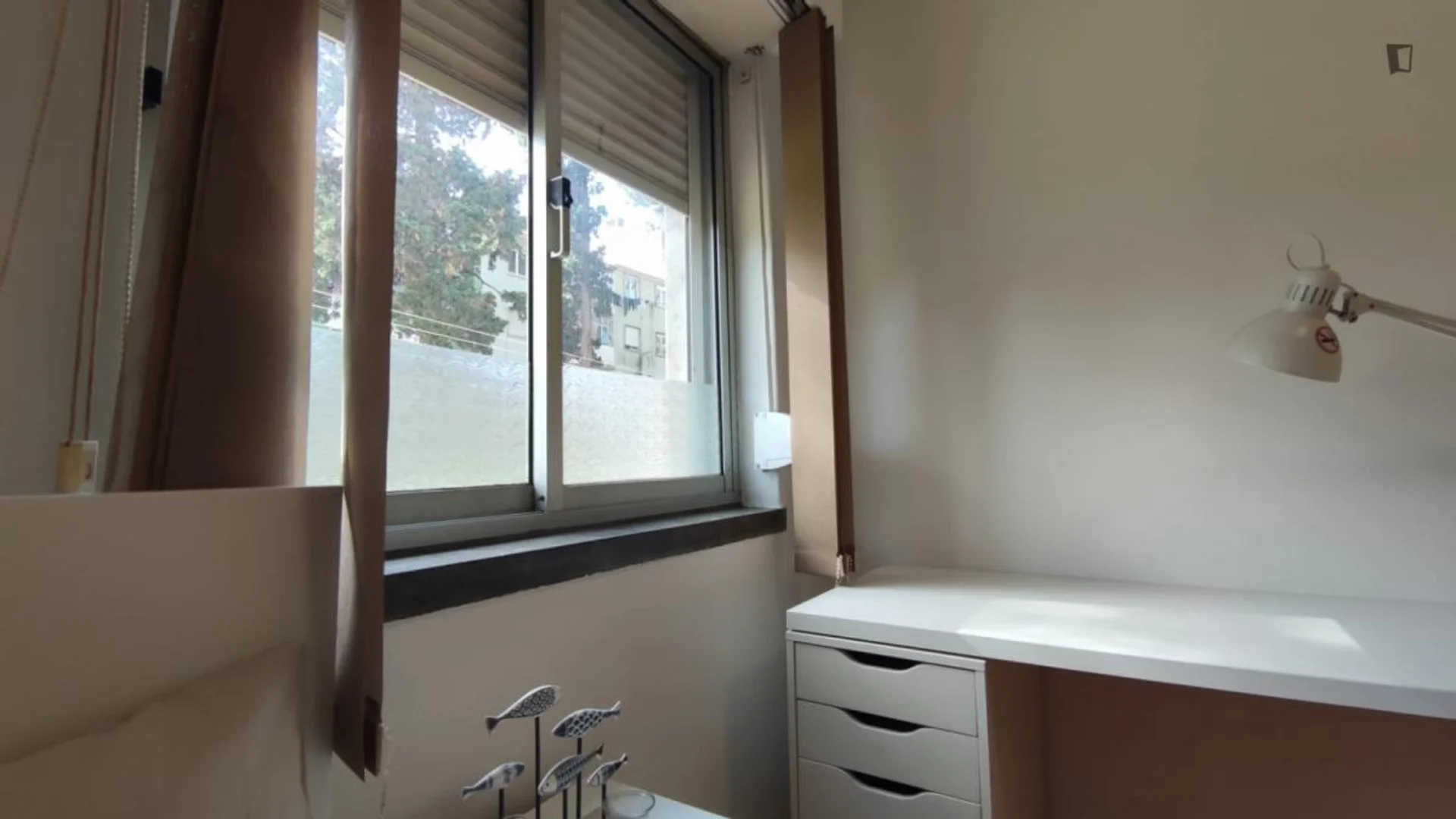 Budget-friendly student room close to campus in 