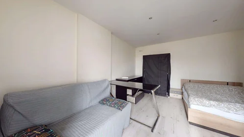 Appartamento intero in 51 Rue Tiblier Verne, 42000 Saint-Étienne, France, immagine 1 di 15