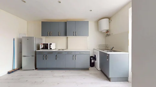 Appartamento intero in 51 Rue Tiblier Verne, 42000 Saint-Étienne, France, immagine 8 di 15