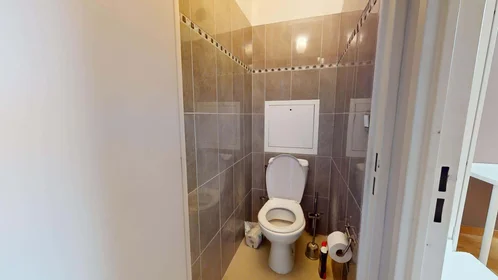Privatzimmer in der 2 Vla Auguste Vermorel, 91000 Évry-Courcouronnes, France, bild 15 von 17