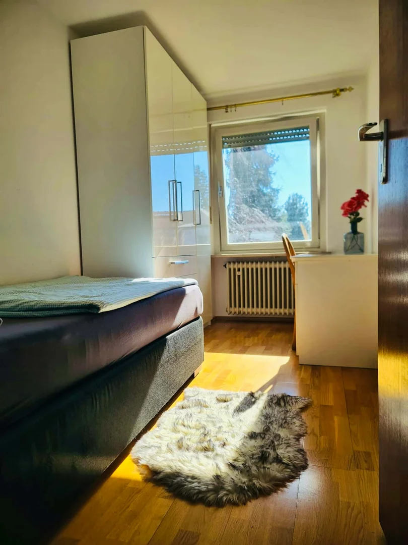 Room for rent in student apartment in , fully furnished