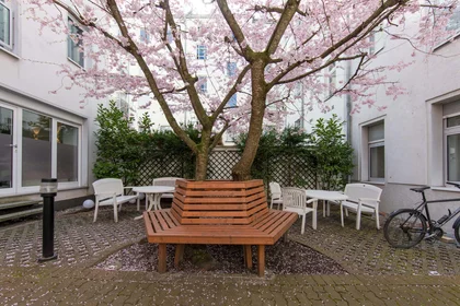 Prywatny pokój Knaackstraße 86, 10435 Berlin-Bezirk Pankow, Deutschland, obraz 13 14