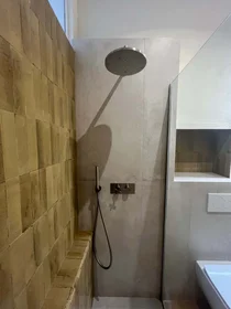 Gesamte Unterkunft in der Via di Piaggia, 12, 55100 Lucca LU, Italy, bild 14 von 14