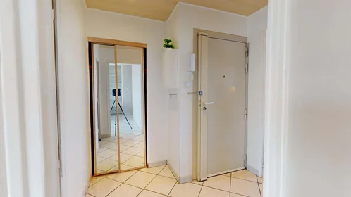 Chambre privée à 12 Rue Federico Garcia Lorca, 38100 Grenoble, France, image 11 de 14