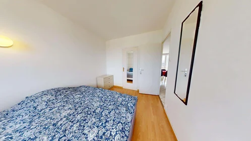 Chambre privée à 12 Rue Federico Garcia Lorca, 38100 Grenoble, France, image 3 de 14