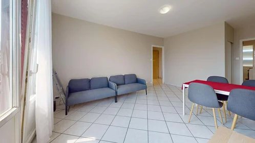 Chambre privée à 12 Rue Federico Garcia Lorca, 38100 Grenoble, France, image 6 de 14