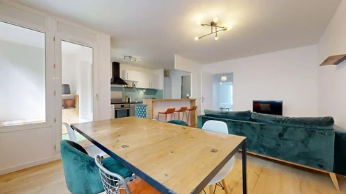 Prywatny pokój 1 Rue Jean Gorin, 44200 Nantes, France, obraz 10 20