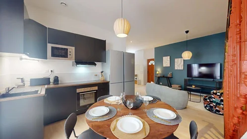 Prywatny pokój 1 Rue Manescau, 64000 Pau, France, obraz 13 22