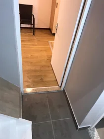 Całe miejsce Bilserbaan, obraz 1 10