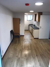 Entire apartment at Bilserbaan, image 3 of 10