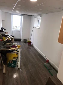 Entire apartment at Bilserbaan, image 8 of 10