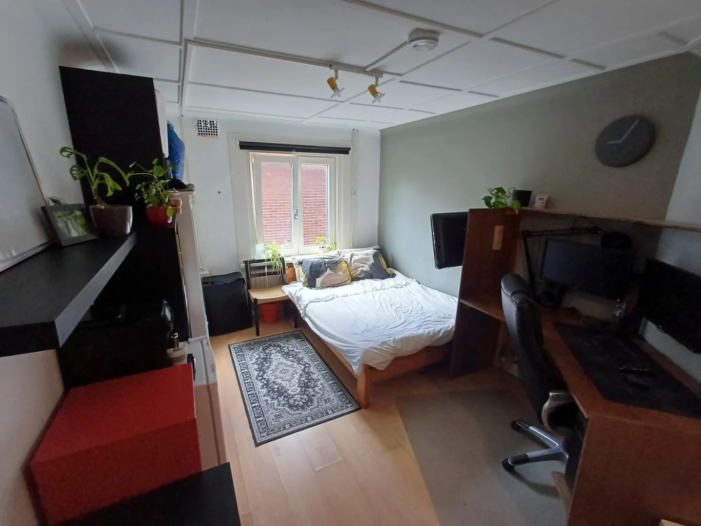 Chambre d'étudiant bon marché à proximité du campus dans 