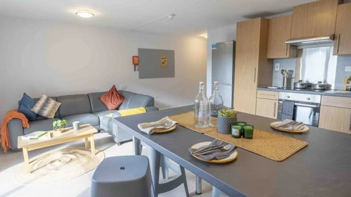 Chambre privée en résidence à Cross Chancellor St, Woodhouse, Leeds LS6 2TL, United Kingdom    , image 5 de 21
