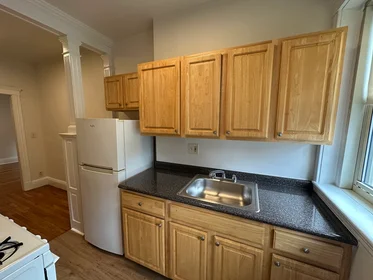 Dairenin tamamı Ikamet yerinde konumu 1, Craigie, Unit 4, Harvard Square, Cambridge, MA, 02138, 18 18 görüntüsü