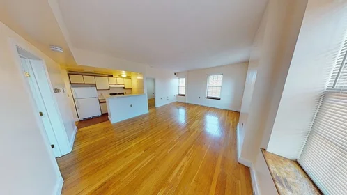 Logement entier en résidence à 14, John Eliot Sq., Unit 4E, Roxbury, Boston, MA, 02119, image 1 de 20