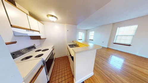 Logement entier en résidence à 14, John Eliot Sq., Unit 4E, Roxbury, Boston, MA, 02119, image 14 de 20