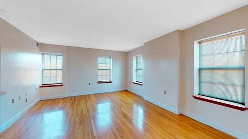 Logement entier en résidence à 14, John Eliot Sq., Unit 4E, Roxbury, Boston, MA, 02119, image 6 de 20