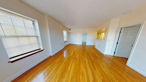 Logement entier en résidence à 14, John Eliot Sq., Unit 4E, Roxbury, Boston, MA, 02119, image 7 de 20