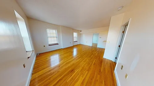 Logement entier en résidence à 14, John Eliot Sq., Unit 4E, Roxbury, Boston, MA, 02119, image 8 de 20