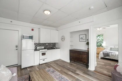 Logement entier en résidence à 928, Dorchester Ave., Unit 12, Dorchester, Boston, MA, 02125, image 15 de 17
