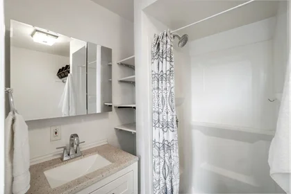 Logement entier en résidence à 928, Dorchester Ave., Unit 12, Dorchester, Boston, MA, 02125, image 7 de 17