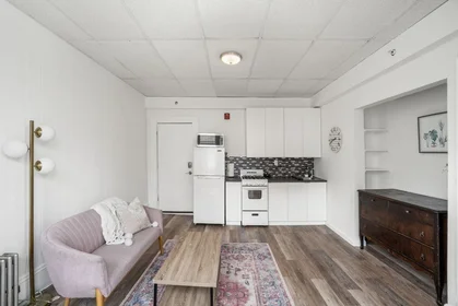 Logement entier en résidence à 928, Dorchester Ave., Unit 12, Dorchester, Boston, MA, 02125, image 10 de 17