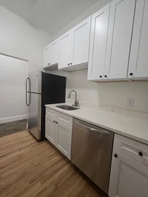 Logement entier en résidence à 76, West Cottage, Unit 1, Dorchester, Boston, MA, 02125, image 3 de 17