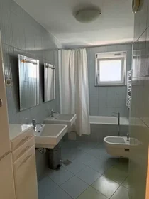 Özel oda konumu Frankopanska ulica, Šiška, 7 10 görüntüsü