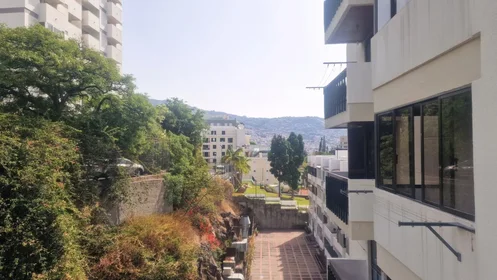 Logement entier à Avenida do Infante 62, image 21 de 31