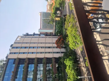 Logement entier à Avenida do Infante 62, image 25 de 31