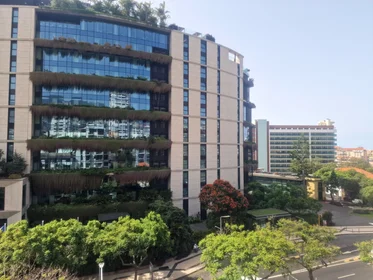 Logement entier à Avenida do Infante 62, image 26 de 31