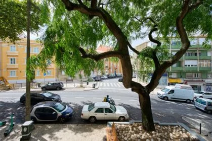 Stanza privata in Penha de França - Avenida General Roçadas, 1.º Esquerdo, immagine 31 di 45