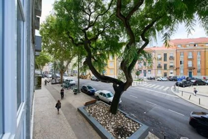 Stanza privata in Penha de França - Avenida General Roçadas, 1.º Esquerdo, immagine 33 di 42