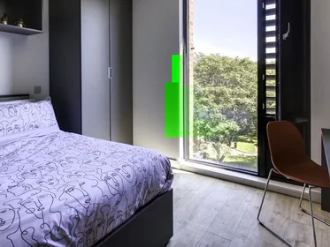 Habitación privada en Western Road, imagen 1 de 10