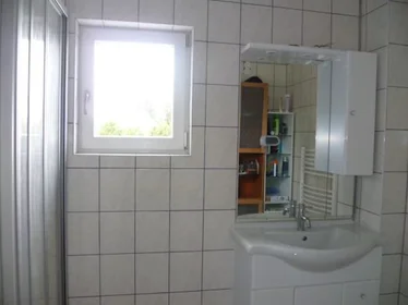 Özel oda konumu Triestinggasse, 21. Bezirk-Floridsdorf, 7 10 görüntüsü