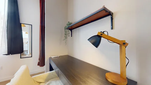 Stanza privata in 3 bis avenue des Frères Lumière, immagine 12 di 17