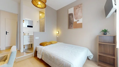 Stanza privata in 3 bis avenue des Frères Lumière, immagine 15 di 17