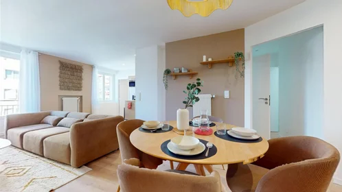 Stanza privata in 205 Rue Marcel Merieux, immagine 1 di 10
