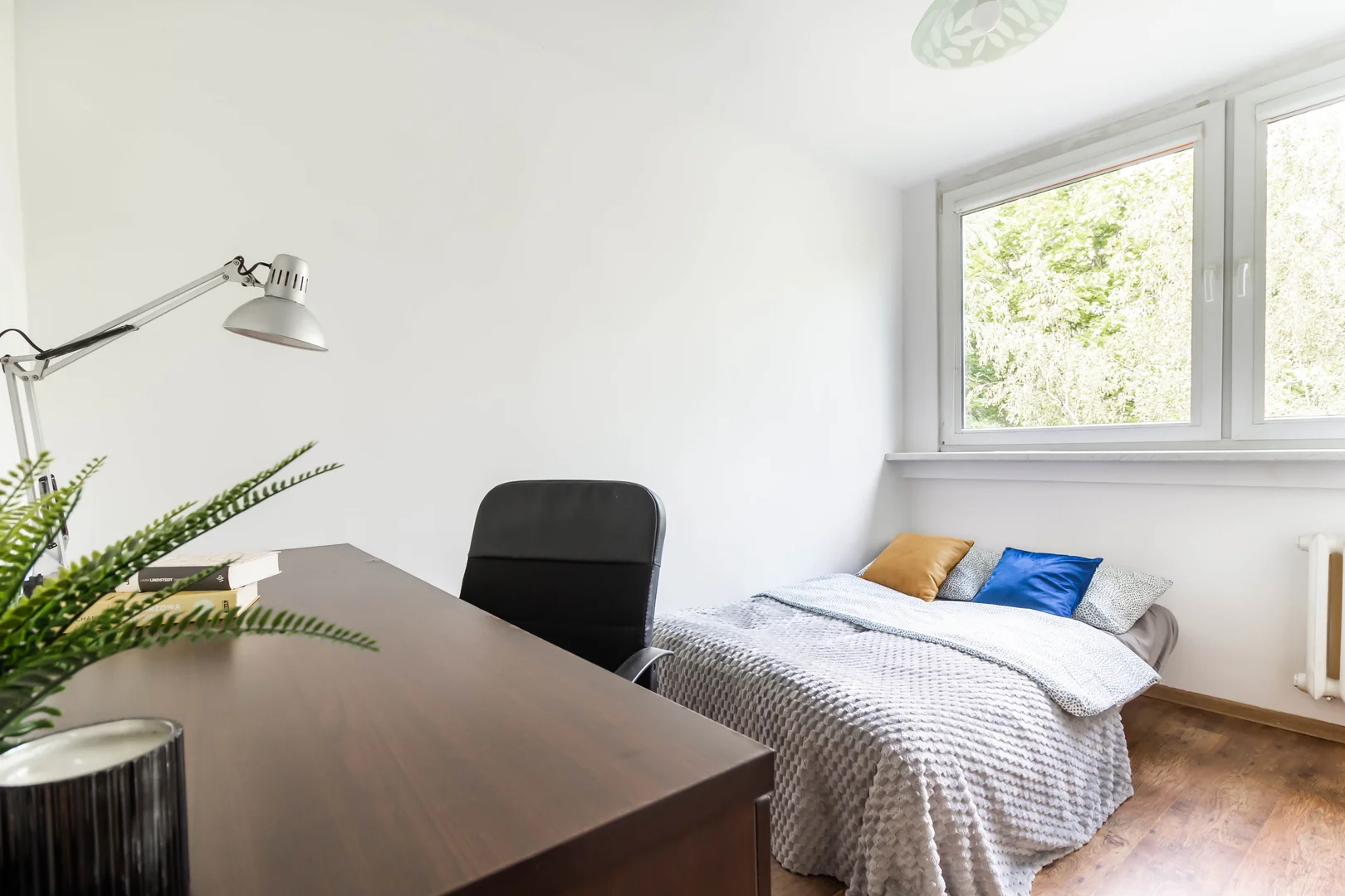 Affordable room for students with ample lighting in 