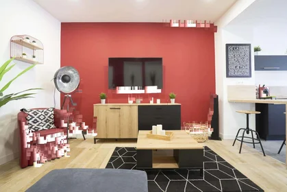 Stanza privata in 131 Rue Roger Salengro, 59110 La Madeleine, France, immagine 11 di 20