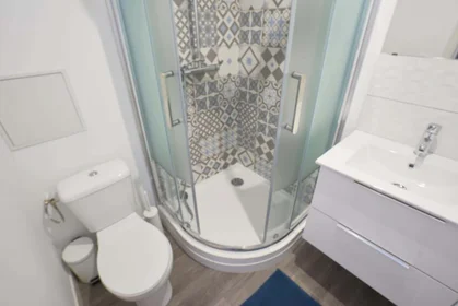 Stanza privata in 131 Rue Roger Salengro, 59110 La Madeleine, France, immagine 7 di 20
