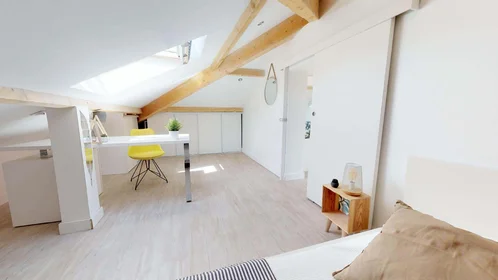 Privatzimmer in der 11 Rue Jules Cambon, 69008 Lyon, France, bild 2 von 25