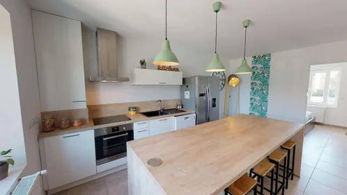 Privatzimmer in der 11 Rue Jules Cambon, 69008 Lyon, France, bild 11 von 25